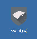 storbilisim